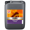 ISO 100 HUILE D'ENGRENAGE STEELO S (20L)